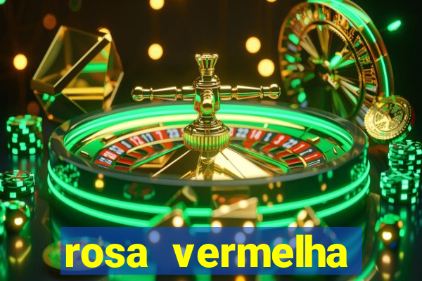 rosa vermelha (letra e cifra)